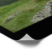 Poster Sheep & Lamb dit Baa, Baa (Poster) (Coin)