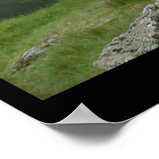 Poster Sheep & Lamb dit Baa, Baa (Poster) (Coin)