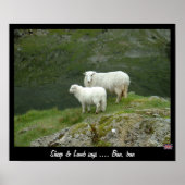 Poster Sheep & Lamb dit Baa, Baa (Poster) (Devant)