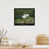 Poster Sheep & Lamb dit Baa, Baa (Poster) (Cuisine)