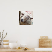 Poster Sheep The Good Shepherd Christian Art photo (Cuisine)