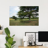 Poster Shelby (Bureau à domicile)