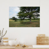 Poster Shelby (Cuisine)