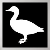 Poster Sheldrake Duck (Devant)