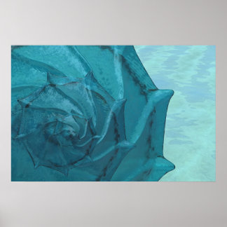 Poster Shell