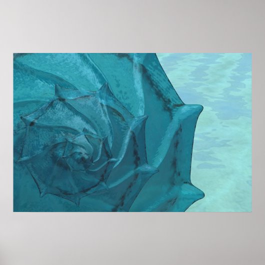 Poster Shell (Devant)