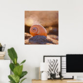 Poster Shell Bokeh |Grèce (Bureau à domicile)