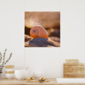 Poster Shell Bokeh |Grèce (Cuisine)
