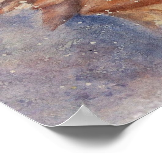Poster Shell de Conch Beach exceptionnel (Coin)