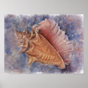 Poster Shell de Conch Beach exceptionnel