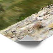 Poster Shell Lake, Tioga Pass, (Coin)