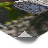 Poster Shell Mailbox, Fort Myers Beach, Floride (Coin)