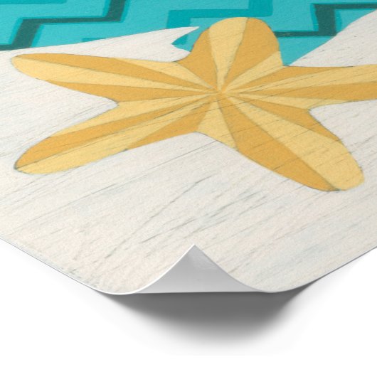 Poster Shell Motifs II (Coin)