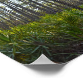 Poster Shell Mound Park Trail, île Dauphin, Al (Coin)