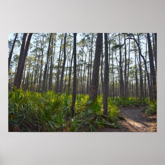 Poster Shell Mound Park Trail, île Dauphin, Al (Devant)