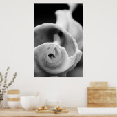 Poster Shell patiné (Cuisine)