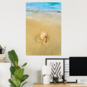 Poster Shell Sur La Plage | Jamaïque (Bureau à domicile)