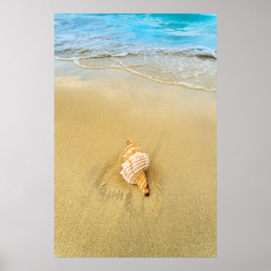 Poster Shell Sur La Plage | Jamaïque (Devant)