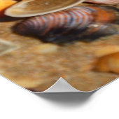 Poster Shells | Andalusia, Spain (Coin)
