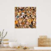 Poster Shells | Andalusia, Spain (Cuisine)