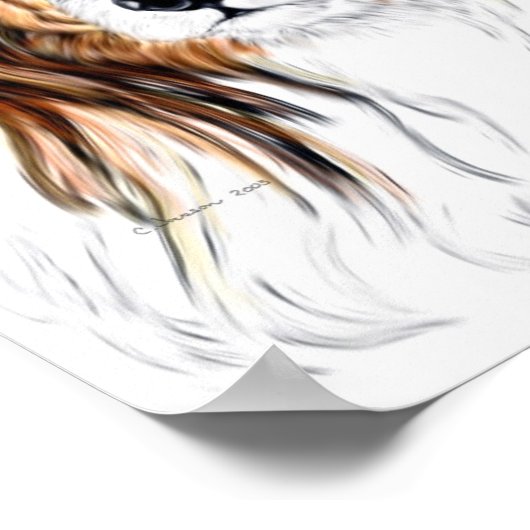 Poster Shelter Shetland Sheepdog Bust (Coin)