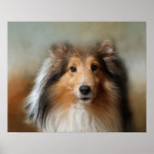 Poster Shelti Sheep Chien (Devant)