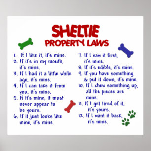 POSTER SHELTIE PL2