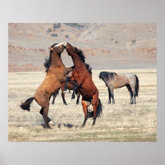 Poster Shenanigans (Devant)