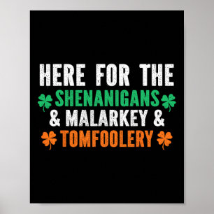 Poster Shenanigans Malarkey Et Tomfoolery Drôle St Patri