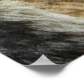 Poster Shepard Allemand En Bord De Mer (Coin)