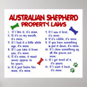 POSTER SHEPHERD AUSTRALIEN PL2 (Devant)