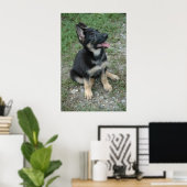 Poster Shepherd Puppy (Thuiskantoor)
