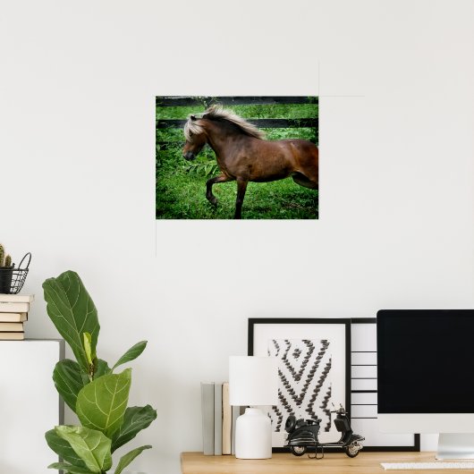 Poster Shetland Pony (Bureau à domicile)