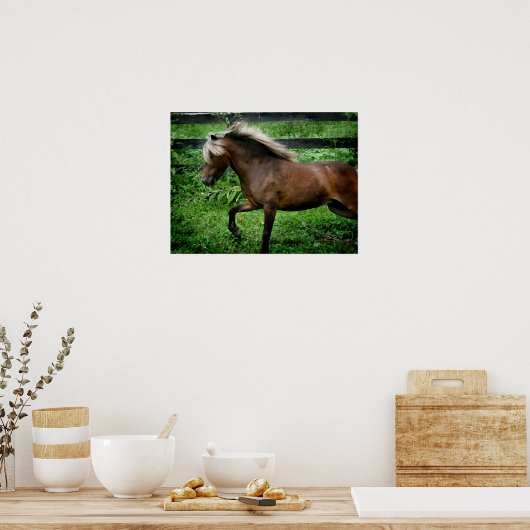 Poster Shetland Pony (Cuisine)