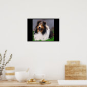 Poster Shetland Sheepdog Art Imprimer (Cuisine)
