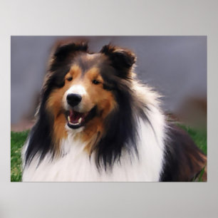 Poster Shetland Sheepdog Sheltie Art Cadeaux