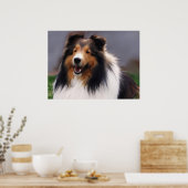 Poster Shetland Sheepdog Sheltie Art Cadeaux (Cuisine)