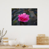 Poster Shi Shi Camellia (Cuisine)