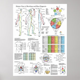Poster Shiatsu Acupuncture Meridians Hara Diagnostics Cha
