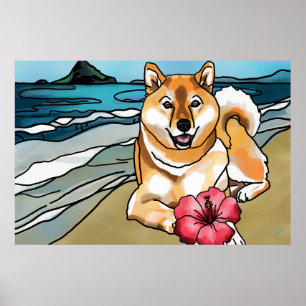 Poster Shiba Inu au casquette du Chinois, Hawaï