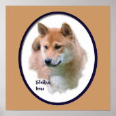 Poster Shiba Inu Imprimer (Devant)