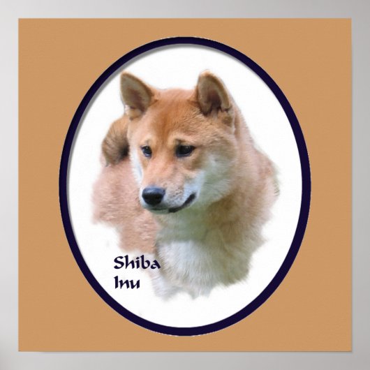 Poster Shiba Inu Imprimer (Devant)