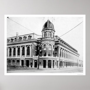 Poster Shibe Park Baseball 1913