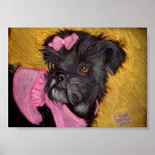 Poster Shih-tzu avec cou rose