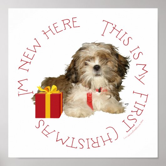 Poster Shih Tzu chiot premier Noël (Devant)