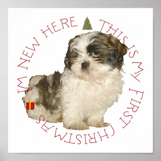 Poster Shih Tzu chiot premier Noël (Devant)