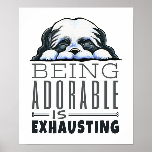 Poster Shih Tzu Être adorable (Devant)