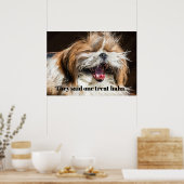 Poster Shih tzu hurle en riant personnaliser du texte drô (Cuisine)