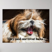 Poster Shih tzu hurle en riant personnaliser du texte drô (Devant)