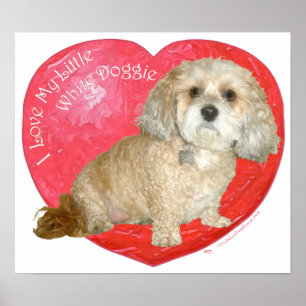 Poster Shih Tzu / Jour des Valentines de la Mix de Poodle